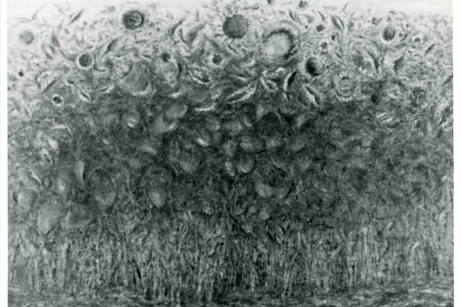 František Mařík, Slunečnicové pole, 1964, olej